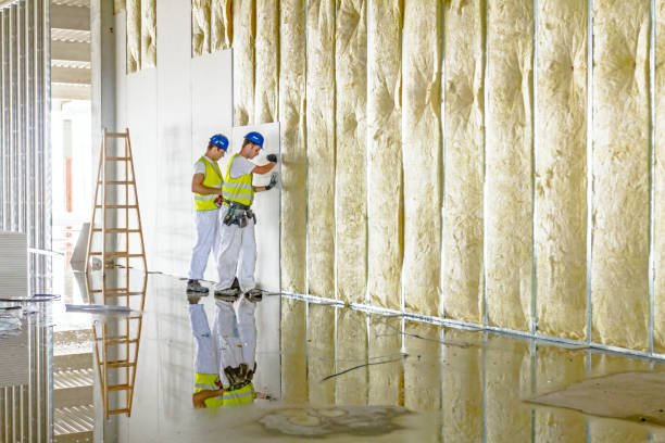 Best Fiberglass Insulation  in USA